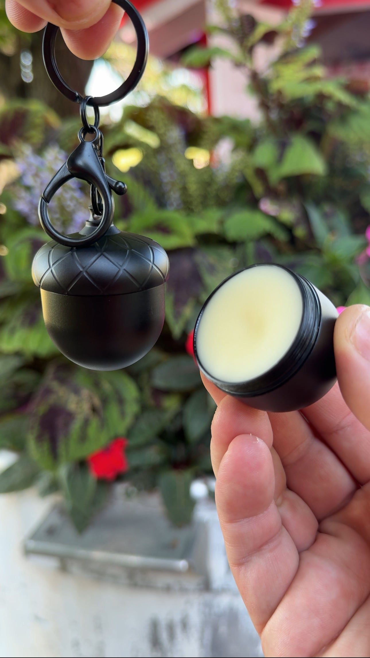 Wild Carrot Travel Capsule Keychain – Black Acorn (Fall Edition)