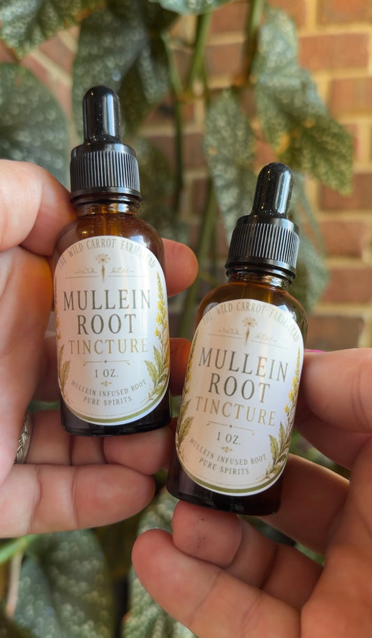 Mullein *Root* Tincture (1oz amber dripper)
