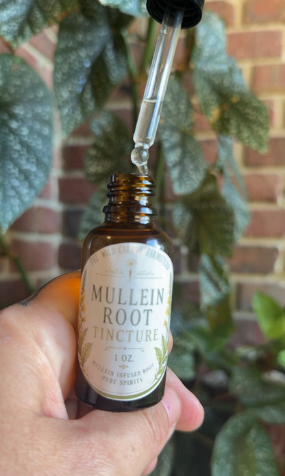 Mullein *Root* Tincture (1oz amber dripper)