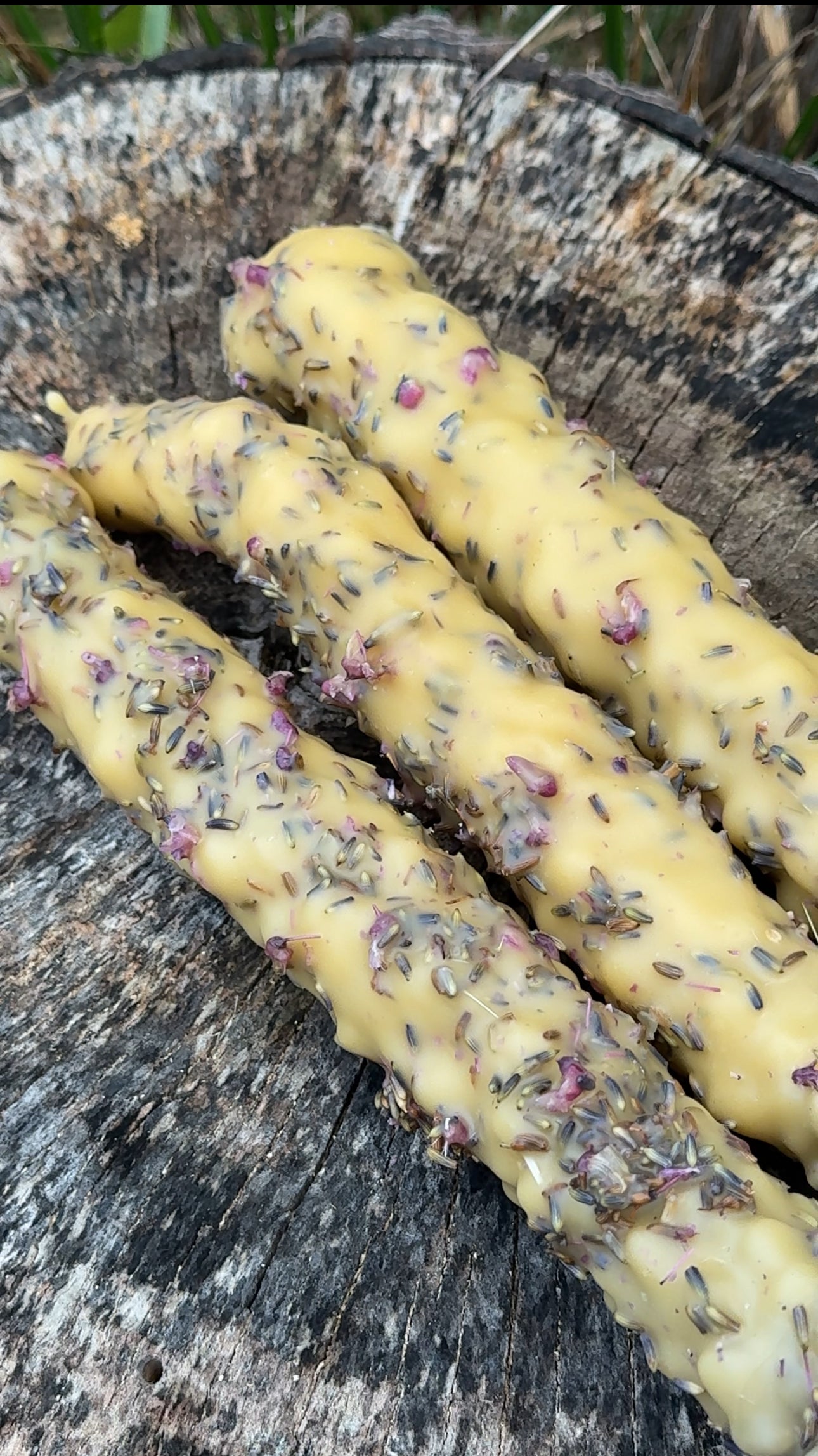 Mullein Torches (limited batches dropping every other Friday)