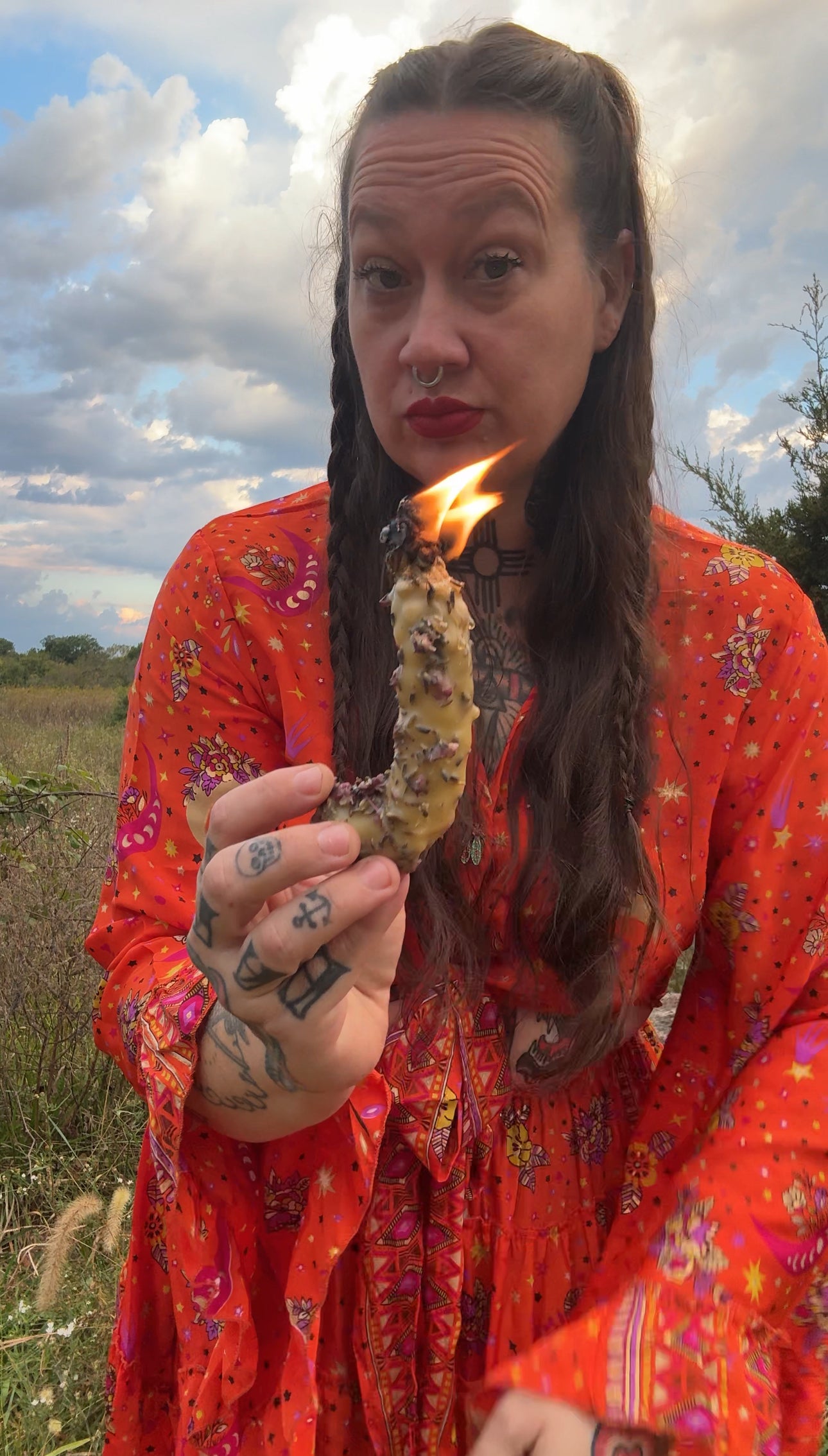 Mullein Torches (limited batches dropping every other Friday)