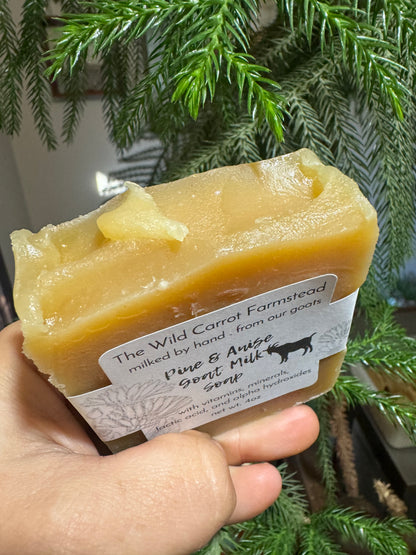 Pine and Anise Goat Milk Soap (4oz)