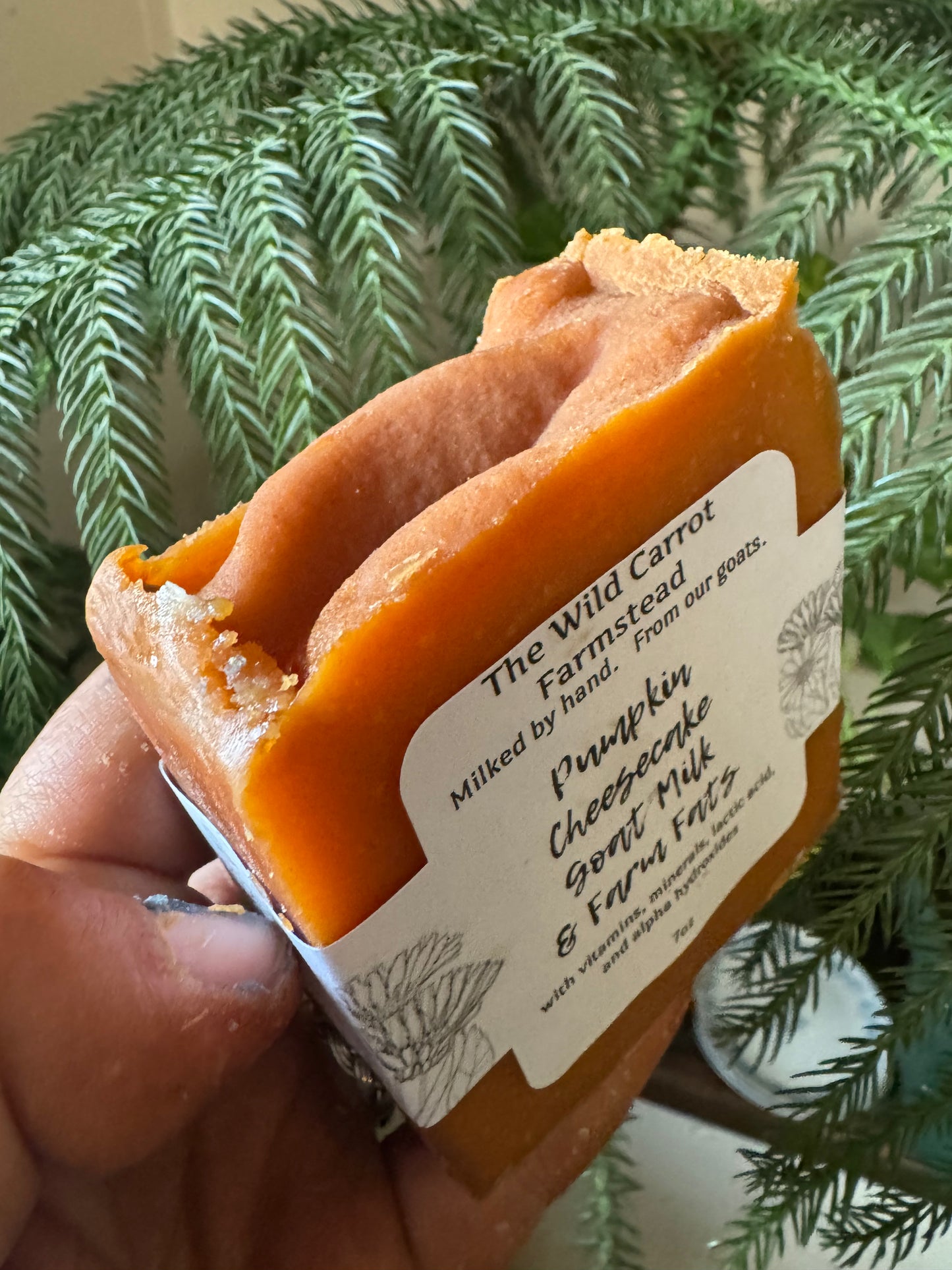 Pumpkin Cheesecake Goatmilk & Farm Fats Soap (7oz bar)