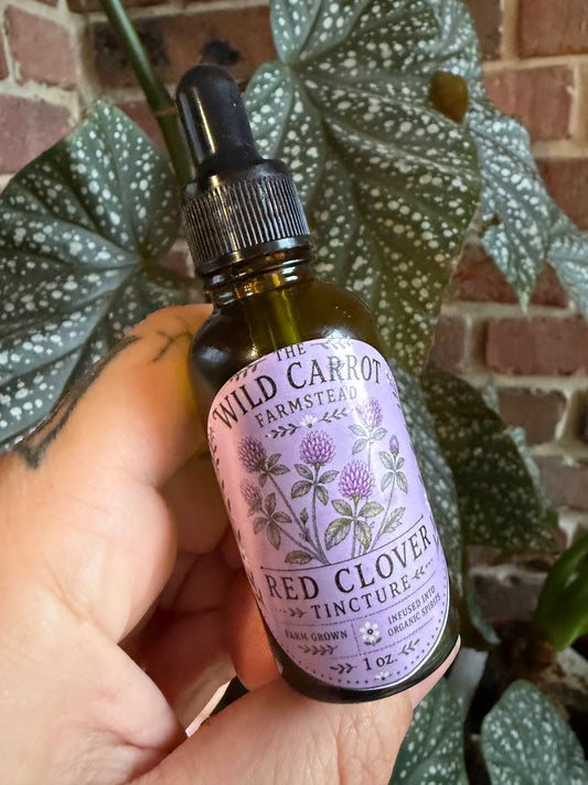 Red Clover Tincture (1oz amber glass dropper)