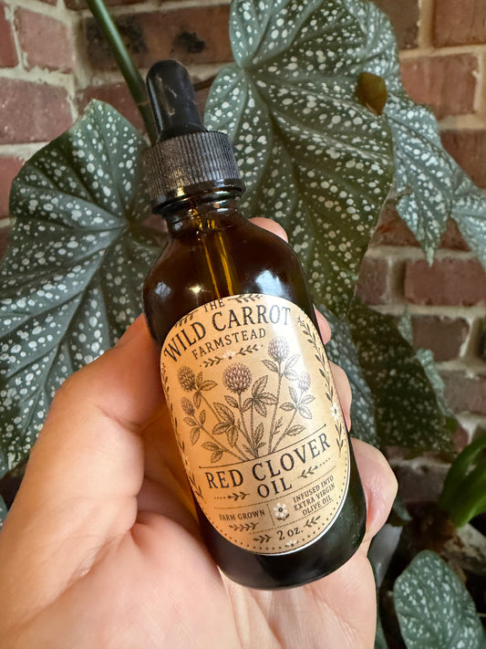 Red Clover Infused Oil (2oz amber glass dropper)