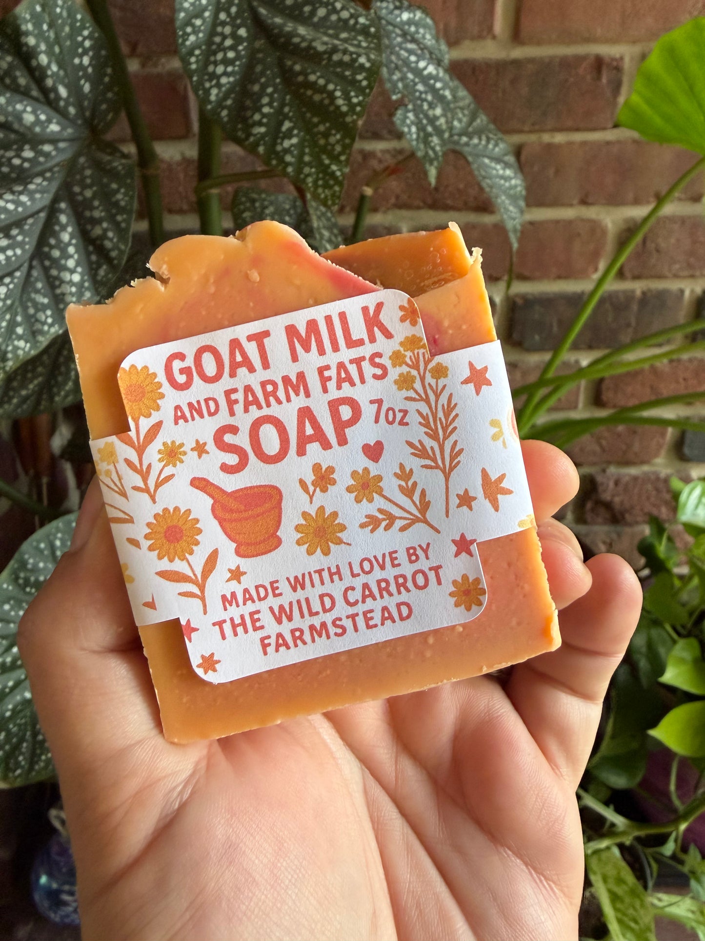Grapefruit & Farm Fats Soap (7oz Bar)