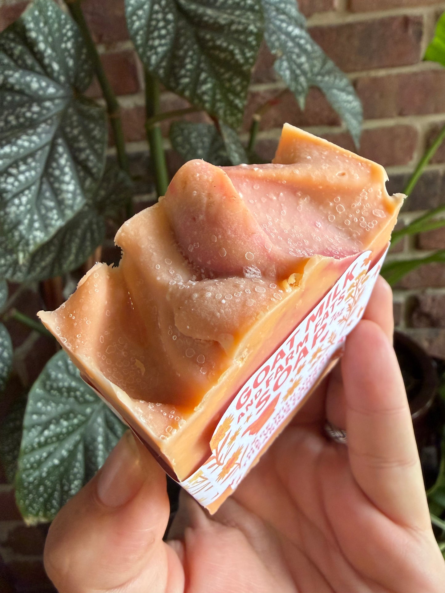 Grapefruit & Farm Fats Soap (7oz Bar)