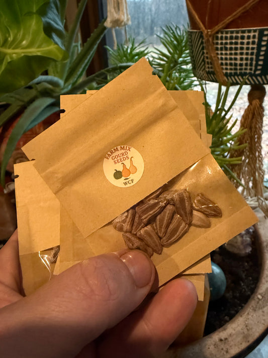 Cherokee Heirloom Mixed Gourd Seeds (8-10 seeds per pack)