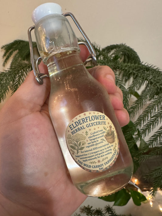 Elderflower Glycerite (4oz swing top glass jar)