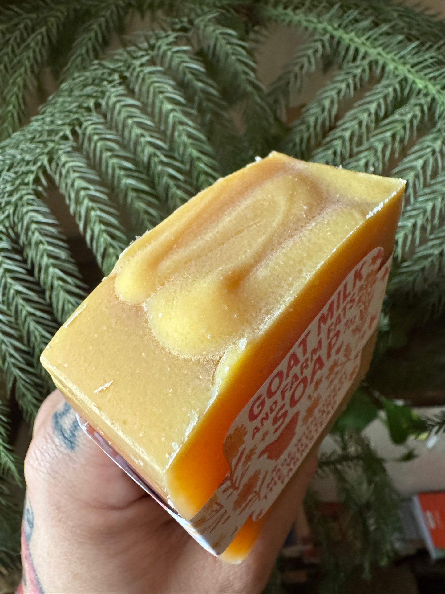 Vanilla Sandalwood Soap Bar (7oz)