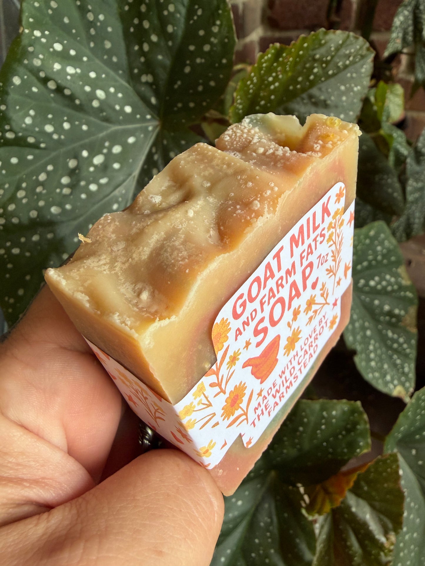Elderflower Blossom & Plum Goat Milk & Farm Fat Soap (large 7oz bar)