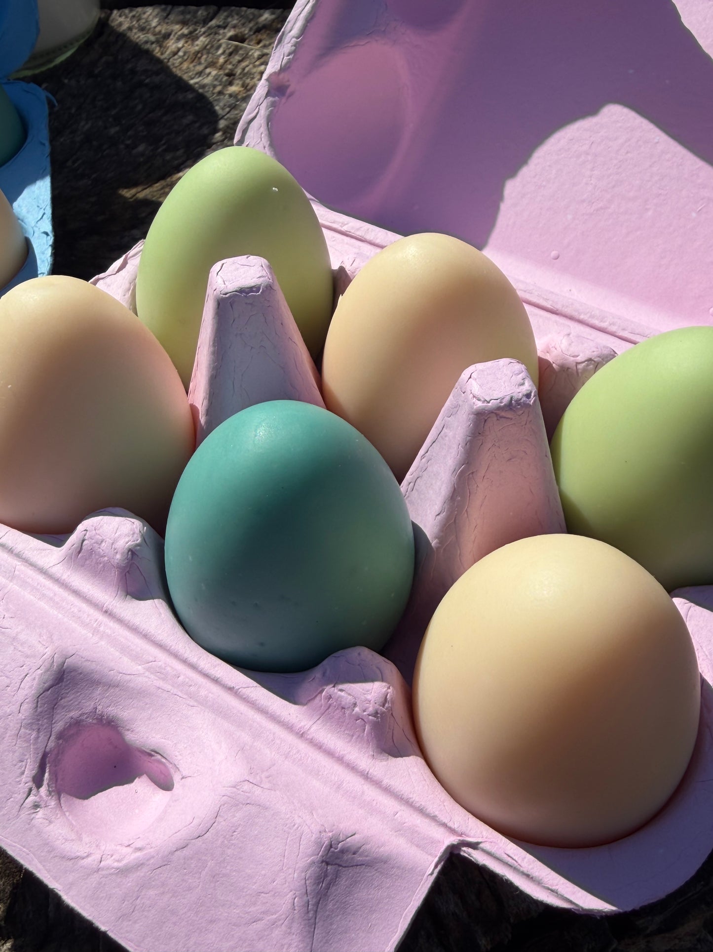 Farm Fresh Egg Soap Set (6 pack in a carton)