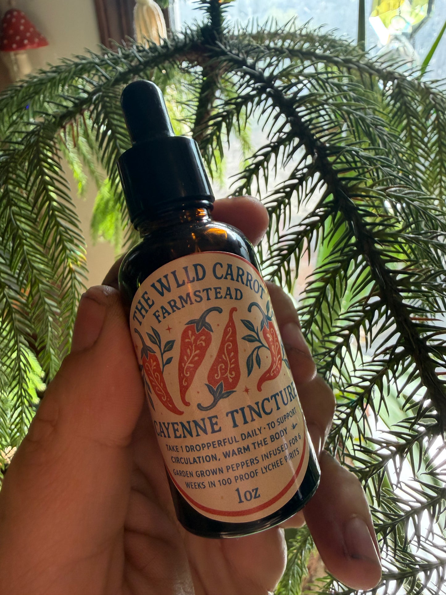 Cayenne Tincture (1oz amber glass dropper)