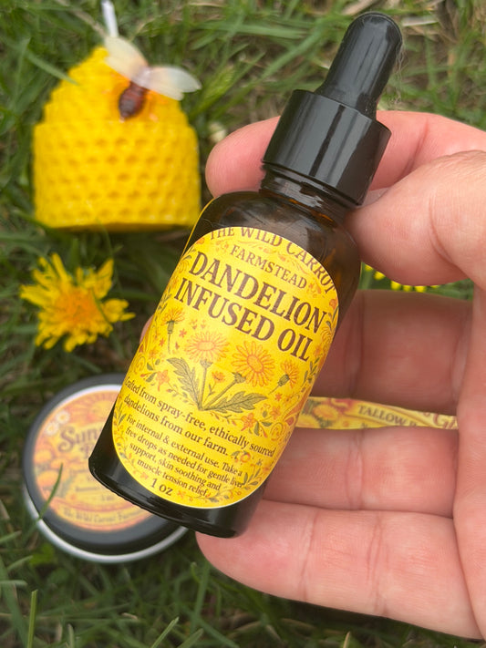 Dandelion Oil (1oz glass dropper)